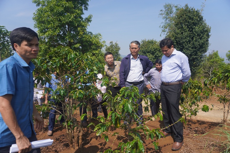 Kon Tum: Tín dụng chính sách của Chính phủ là điểm tựa giảm nghèo trên vùng cao Tu Mơ Rông- Ảnh 2.