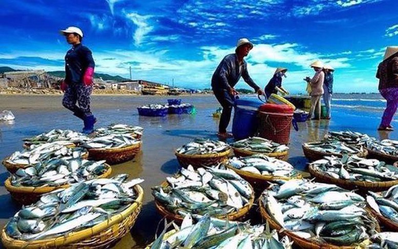 Đa dạng hóa đối tượng nuôi thủy sản để tạo sự đột phá