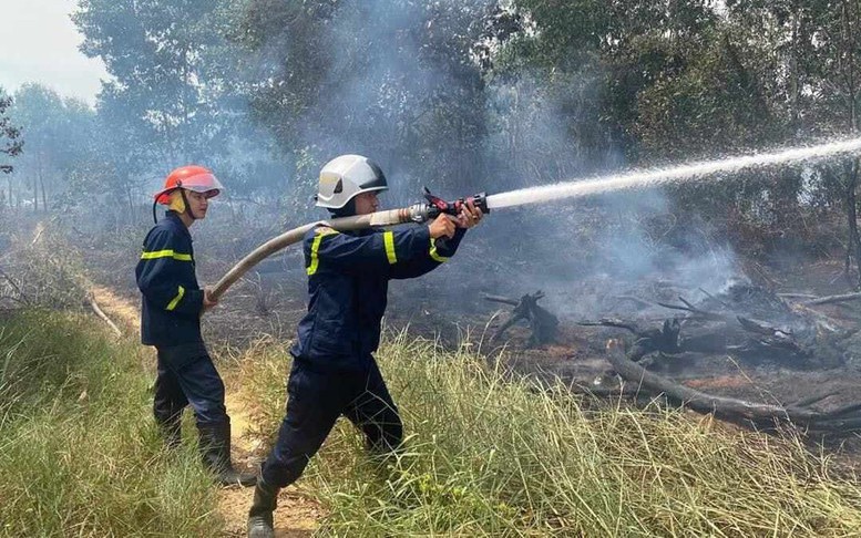 Miền Trung chủ động phòng 'giặc lửa' giữ rừng mùa khô
