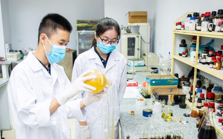 Khuyến khích thanh niên tích cực tham gia phát triển khoa học công nghệ, đổi mới sáng tạo, chuyển đổi số