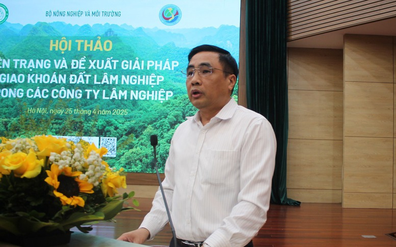 Giao khoán đất lâm nghiệp: Nhiều gợi ý từ thực tiễn