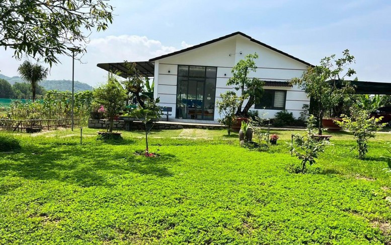 Tài sản gắn liền với đất gồm những gì?