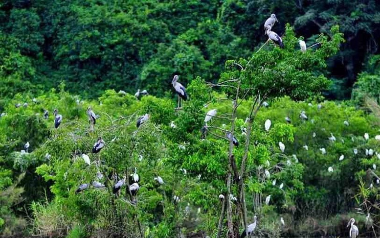 Khu Bảo tồn thiên nhiên Xuân Liên chính thức trở thành Vườn Quốc gia