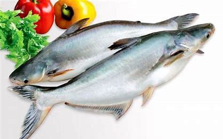 Triển vọng cho xuất khẩu cá tra