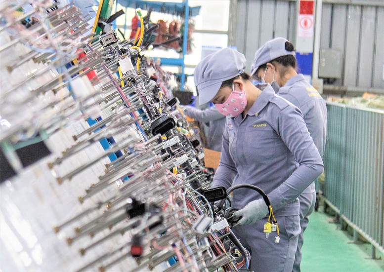 TPHCM: "Điểm đến hấp dẫn" trong mắt các nhà đầu tư quốc tế- Ảnh 2.
