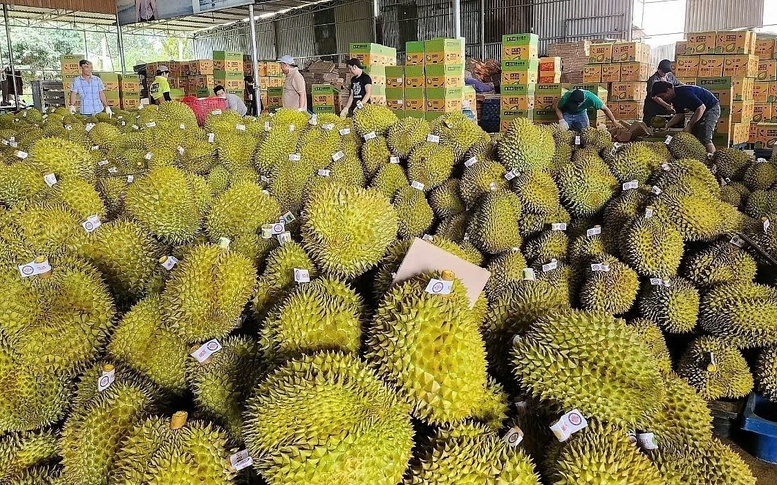 Tăng cường thúc đẩy hợp tác thương mại Việt Nam-Trung Quốc