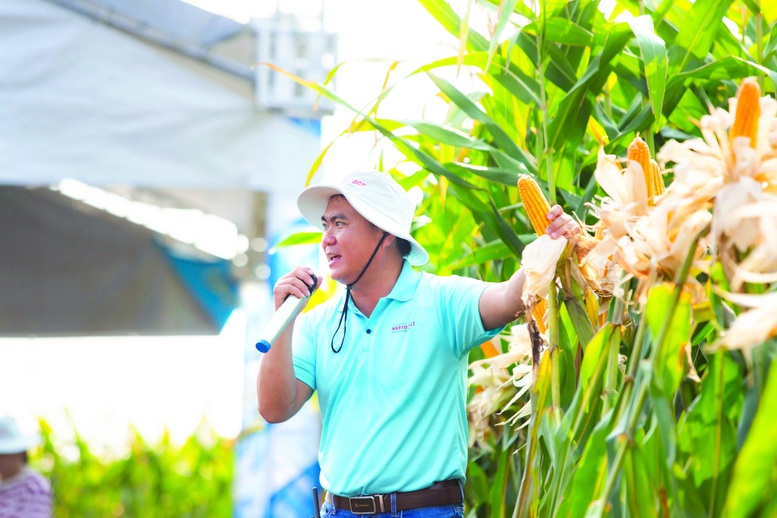 Ứng dụng công nghệ sinh học thúc đẩy khoa học chọn tạo giống- Ảnh 1.