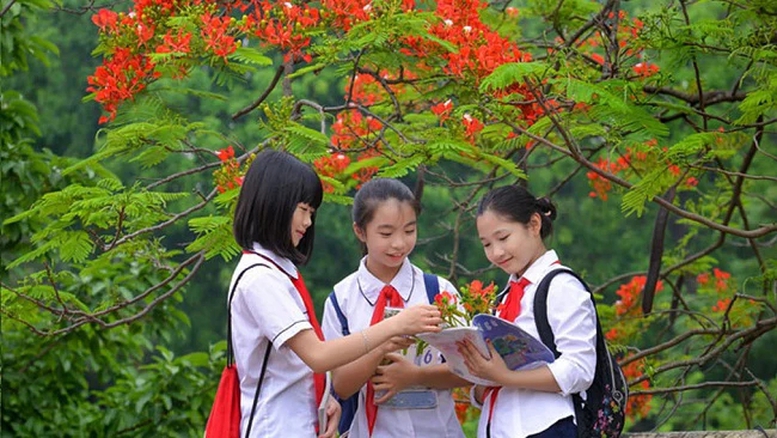 Thủ tướng chỉ đạo 3 vấn đề nóng trong giáo dục- Ảnh 1.