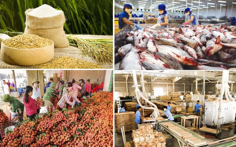 Chỉ đạo, điều hành của Chính phủ, Thủ tướng Chính phủ nổi bật tuần từ 3-9/5/2025