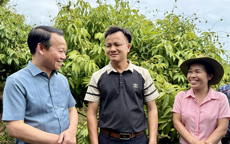 Sẵn sàng cho vụ vải thiều 2025