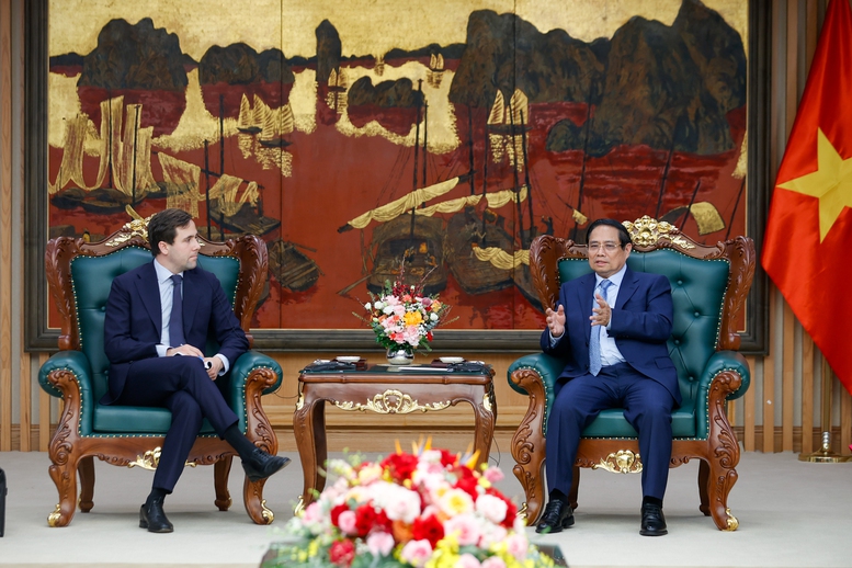 Thủ tướng Phạm Minh Chính tiếp Bộ trưởng Hợp tác phát triển quốc tế và Ngoại thương Thụy Điển- Ảnh 2.