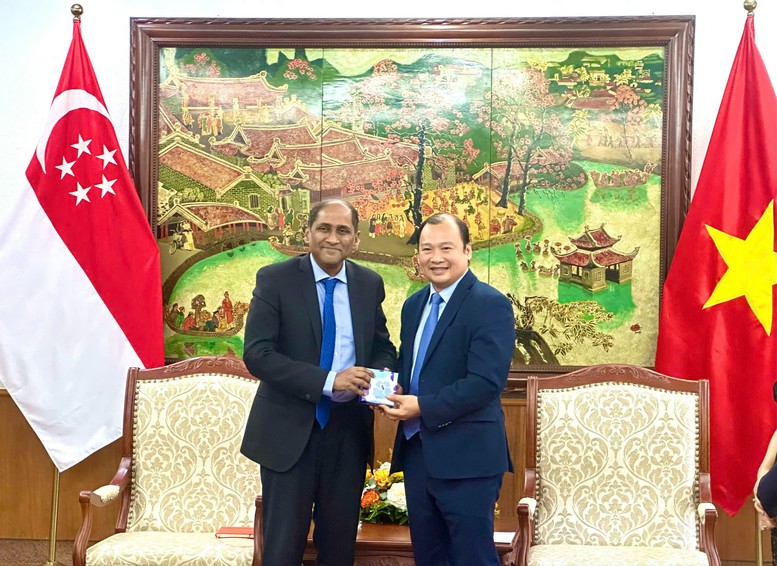 Việt Nam - Singapore: Tăng cường hợp tác văn hóa, thể thao, du lịch và thông tin- Ảnh 1.