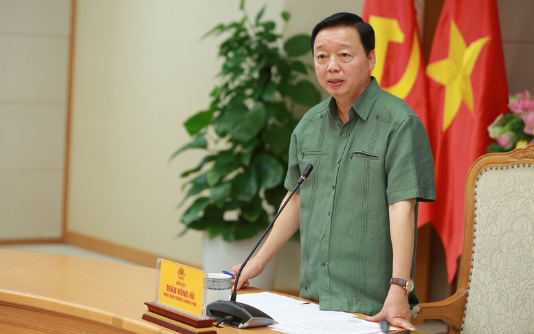 Nuôi, trồng dược liệu dưới tán rừng phải gắn chặt với 'giữ dân, giữ rừng'- Ảnh 1.