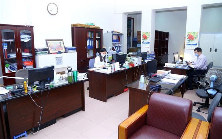 Căn cứ xét nâng ngạch công chức