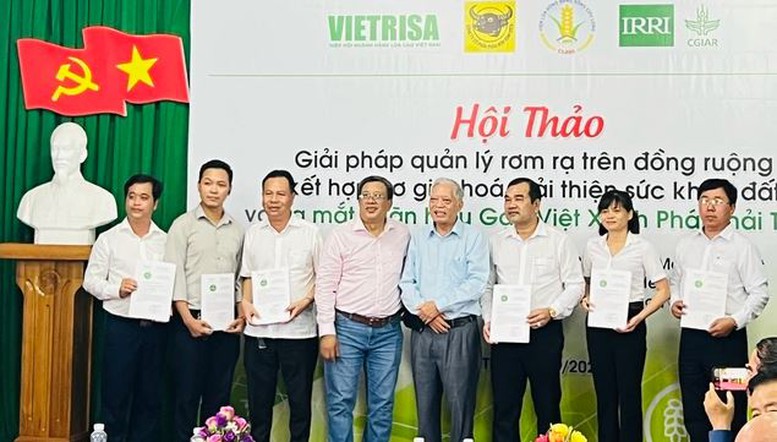 Khoa học công nghệ mở đường cho Đề án 1 triệu ha lúa 'xanh'- Ảnh 3.