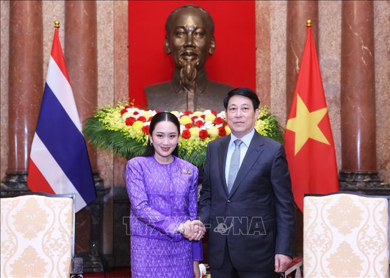 Chủ tịch nước: Thúc đẩy hợp tác Việt Nam-Thái Lan ngày càng thực chất, hiệu quả- Ảnh 1.