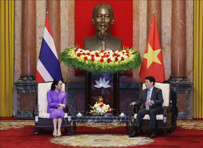 Chủ tịch nước: Thúc đẩy hợp tác Việt Nam-Thái Lan ngày càng thực chất, hiệu quả- Ảnh 2.