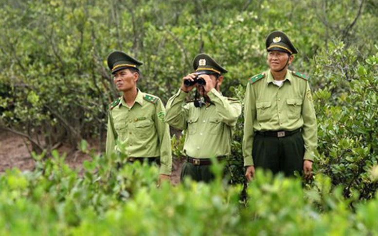 Kiểm lâm viên có thuộc đối tượng được nghỉ hưu trước tuổi?