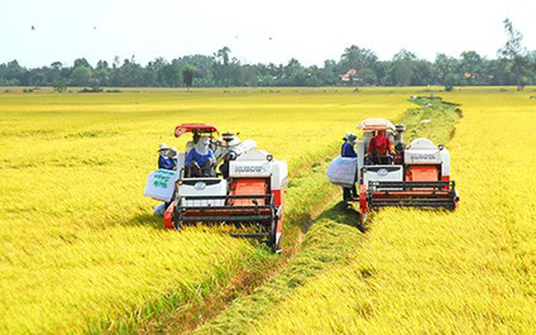 Phát triển bền vững và giảm phát thải trong sản xuất lúa gạo