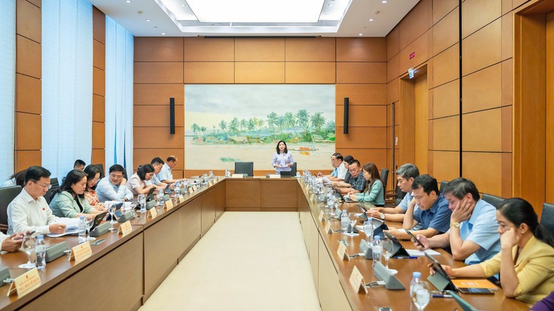 ĐBQH đề nghị tăng mạnh chế tài hình sự, xử nặng tội sản xuất, buôn bán hàng giả- Ảnh 2.
