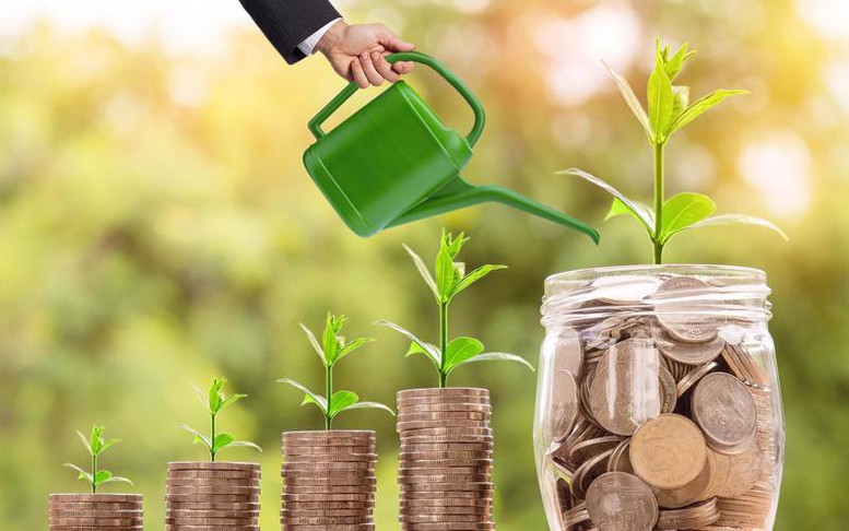 Khu vực kinh tế tư nhân cần đi đầu trong chuyển đổi xanh bằng đòn bẩy tín dụng