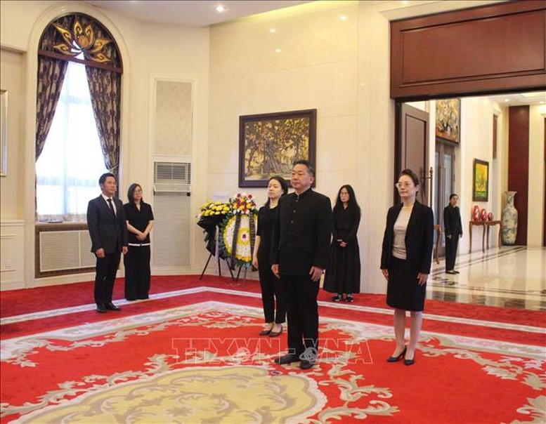 Đại sứ quán Việt Nam tại các nước tổ chức lễ viếng nguyên Chủ tịch nước Trần Đức Lương- Ảnh 5.