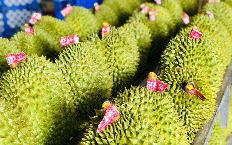 Công điện của Thủ tướng Chính phủ về một số nhiệm vụ thúc đẩy sản xuất và xuất khẩu sầu riêng bền vững