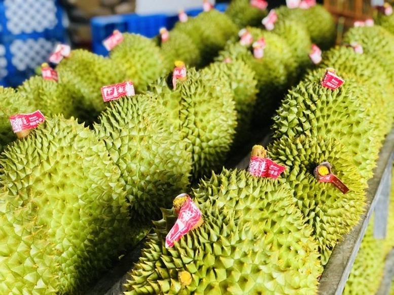 Công điện của Thủ tướng Chính phủ về một số nhiệm vụ thúc đẩy sản xuất và xuất khẩu sầu riêng bền vững- Ảnh 1.