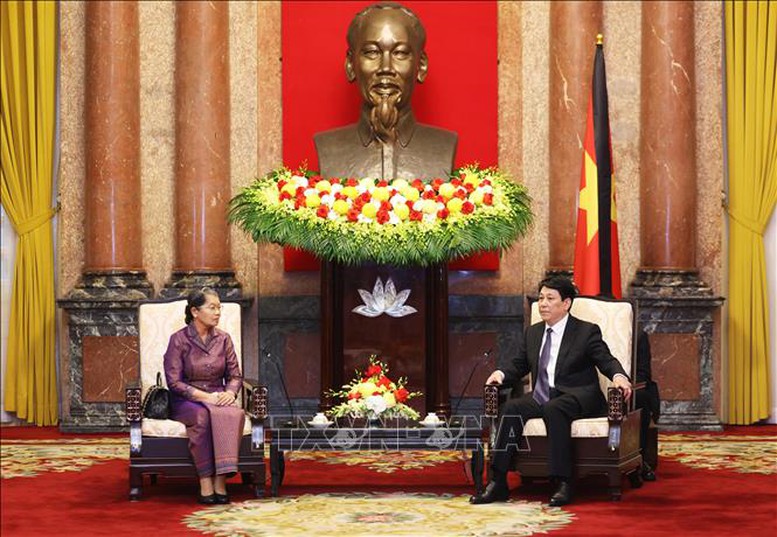 Chủ tịch nước Lương Cường tiếp Phó Chủ tịch Đảng Nhân dân Campuchia- Ảnh 2.