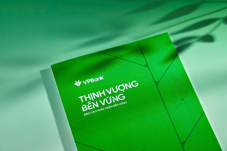 VPBank lần đầu công bố Báo cáo Phát triển bền vững: Khi thịnh vượng được đo bằng giá trị lâu dài- Ảnh 1.