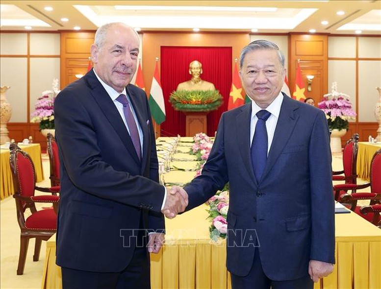 Việt Nam sẵn sàng là cầu nối giữa Hungary với khu vực Đông Nam Á- Ảnh 1.