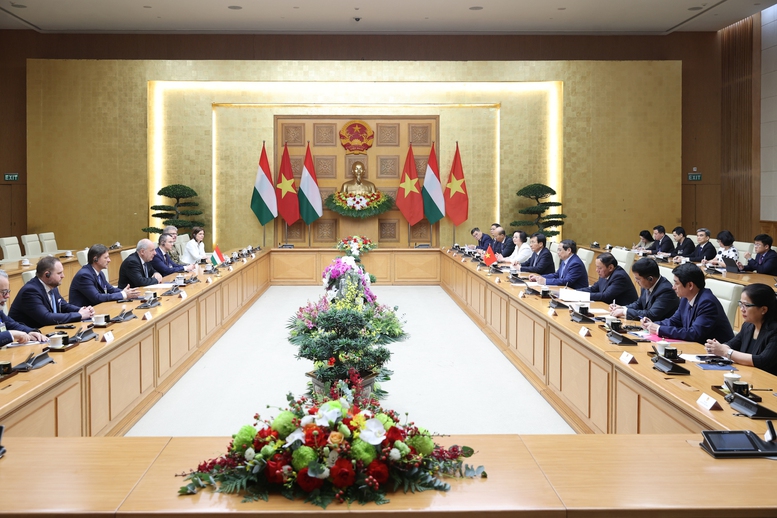 Thủ tướng Phạm Minh Chính hội kiến Tổng thống Hungary- Ảnh 3.