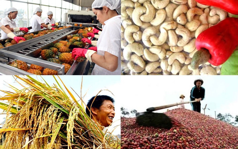 Công điện của Thủ tướng Chính phủ về chủ động triển khai các biện pháp bảo đảm sản xuất, chế biến, tiêu thụ và xuất khẩu nông sản