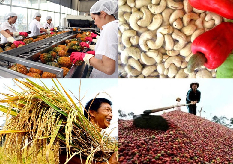 Công điện của Thủ tướng Chính phủ về chủ động triển khai các biện pháp bảo đảm sản xuất, chế biến, tiêu thụ và xuất khẩu nông sản- Ảnh 1.