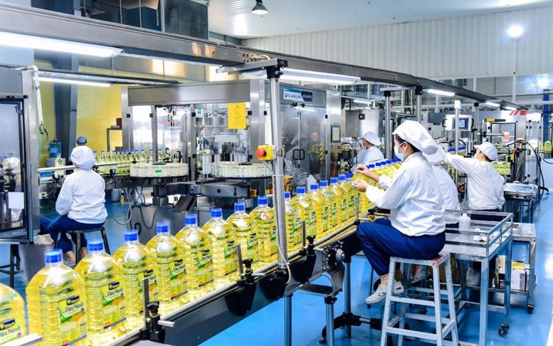 Chỉ đạo, điều hành của Chính phủ, Thủ tướng Chính phủ ngày 31/5/2025