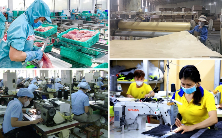 Thành lập Ban Chỉ đạo quốc gia triển khai Nghị quyết số 68-NQ/TW về phát triển kinh tế tư nhân
