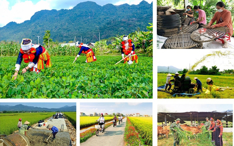 Điều chỉnh, phân bổ kế hoạch đầu tư công các chương trình mục tiêu quốc gia cho các địa phương