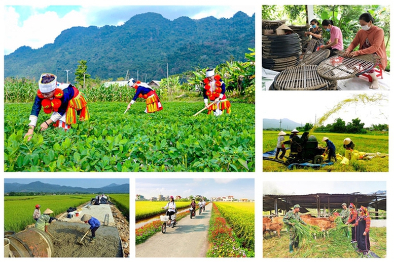 Chỉ đạo, điều hành của Chính phủ, Thủ tướng Chính phủ ngày 6/5/2025 (1)- Ảnh 4.