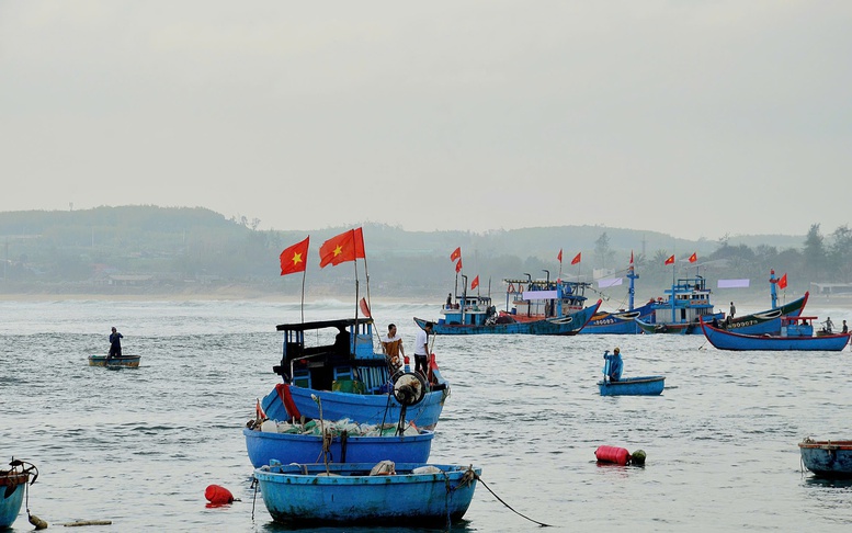 Quảng Ngãi tiếp tục nỗ lực chống khai thác IUU