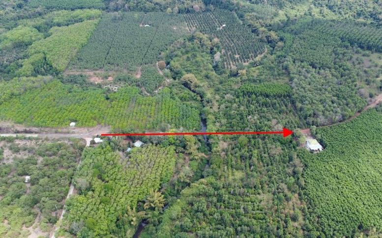 Nghiên cứu, rà soát kỹ phương án đầu tư đường kết nối Bình Phước - Đồng Nai qua cầu Mã Đà