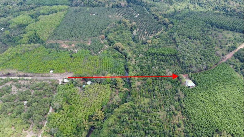 Nghiên cứu, rà soát kỹ phương án đầu tư đường kết nối Bình Phước - Đồng Nai qua cầu Mã Đà- Ảnh 1.