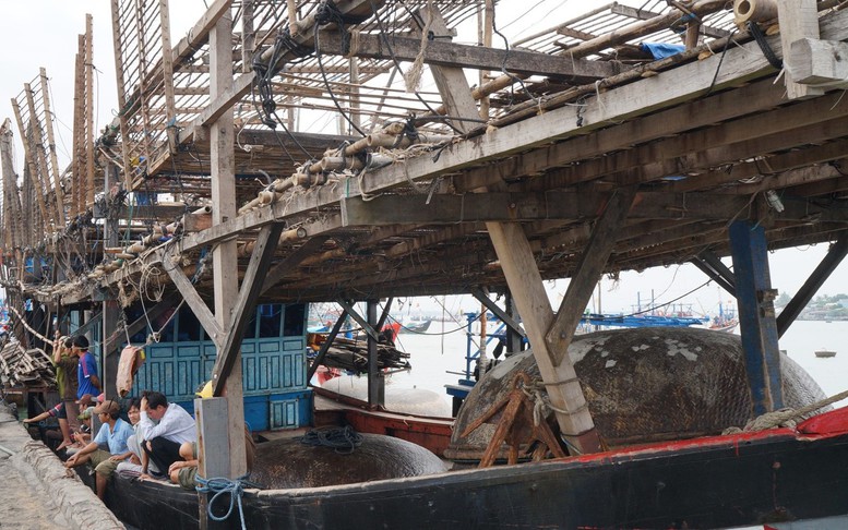 Quảng Nam tăng tốc chống khai thác IUU, sẵn sàng đón Đoàn thanh tra EC lần thứ 5