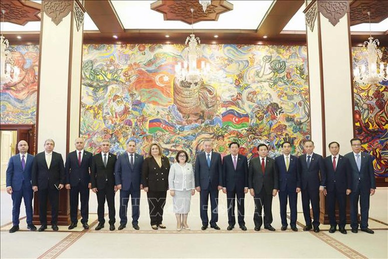 Tổng Bí thư Tô Lâm hội kiến Chủ tịch Quốc hội Azerbaijan- Ảnh 4.