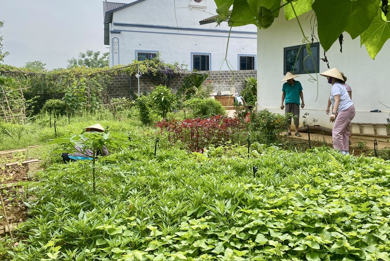 Hoàn thiện nhiều quy định mới về trồng trọt và bảo vệ, kiểm dịch thực vật- Ảnh 1.