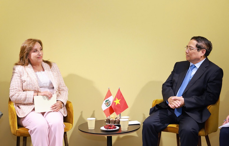Tổng thống Peru: Việt Nam luôn là đối tác quan trọng hàng đầu ở khu vực- Ảnh 1.