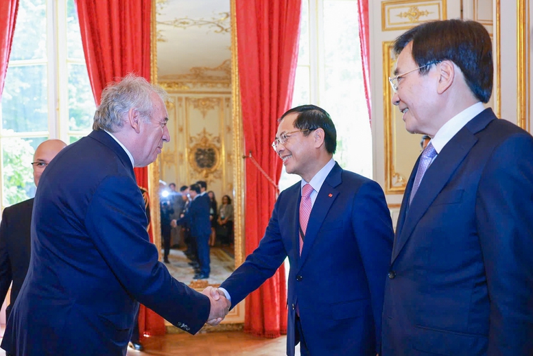 Thủ tướng Phạm Minh Chính hội đàm với Thủ tướng Pháp- Ảnh 6.