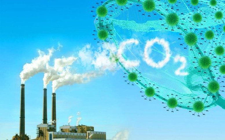 Quy định mới nộp trả hạn ngạch phát thải khí nhà kính