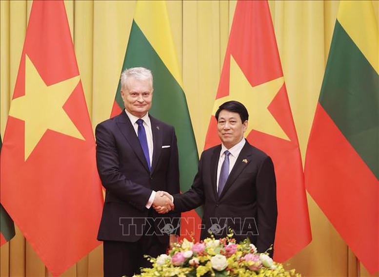 Chủ tịch nước Lương Cường hội đàm với Tổng thống Lithuania Gitanas Nauseda- Ảnh 1.