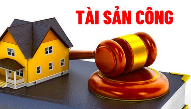 Phân cấp thẩm quyền quản lý nhà nước trong lĩnh vực quản lý, sử dụng tài sản công- Ảnh 1.