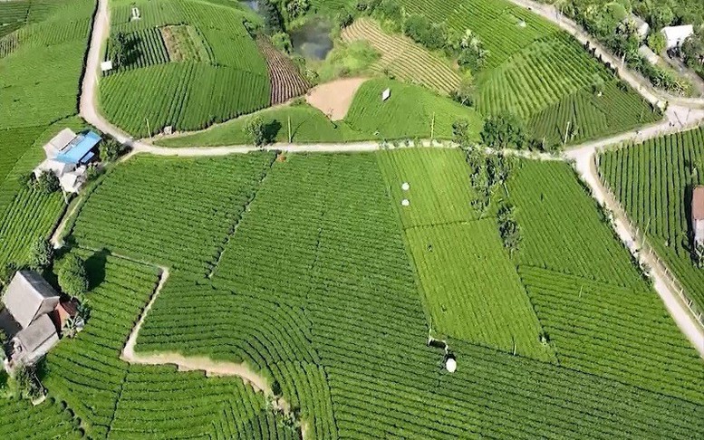 4 huyện về đích nông thôn mới